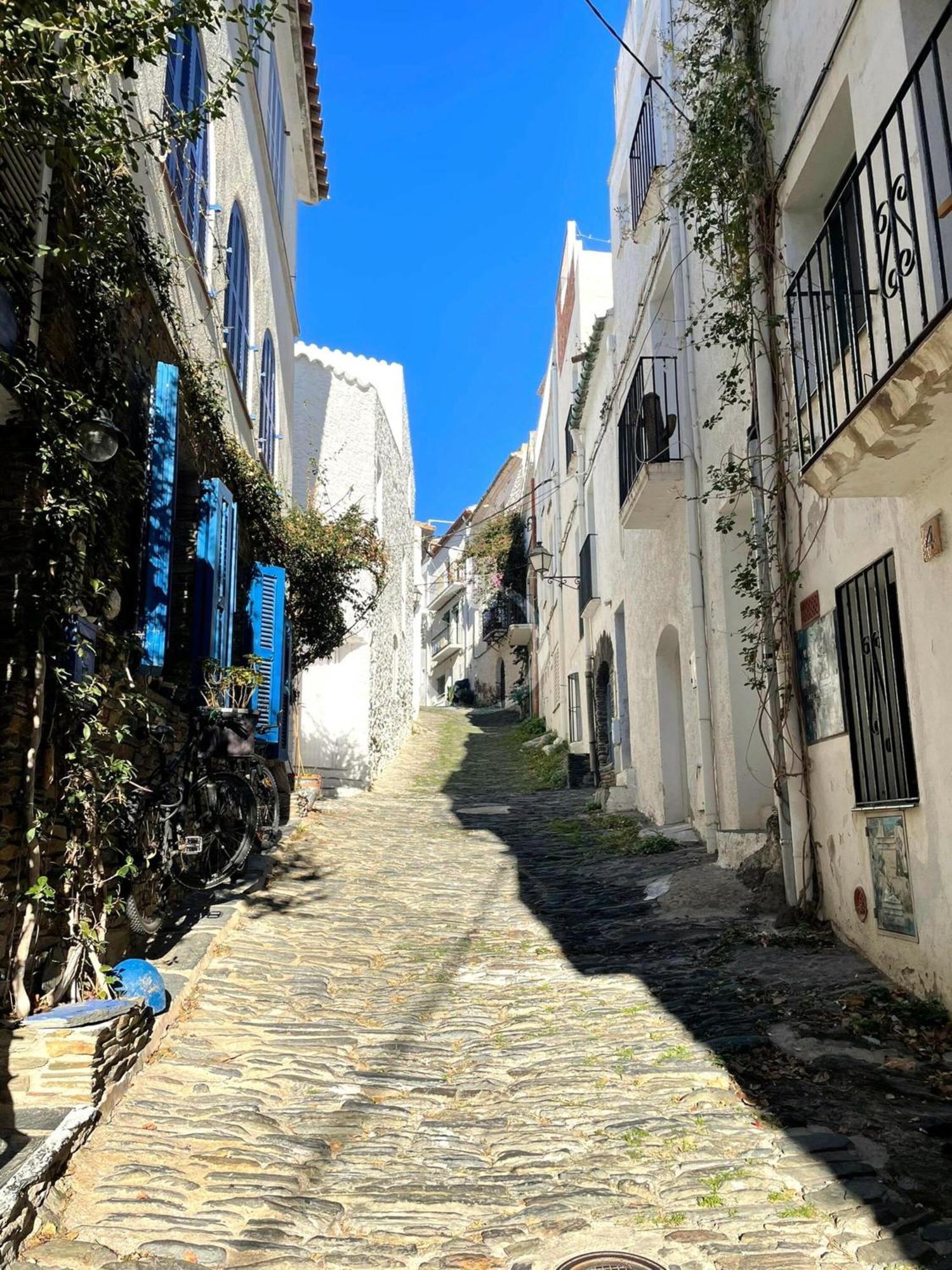 Puig Vidal - Casa Tranquila A 50Mts De La Playa Appartement Cadaqués Buitenkant foto